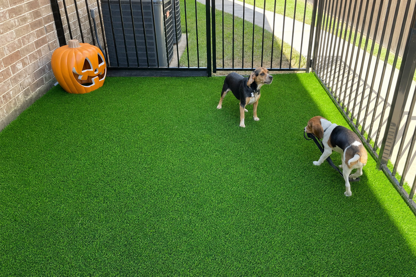 Pet-friendly turf in North Port, FL